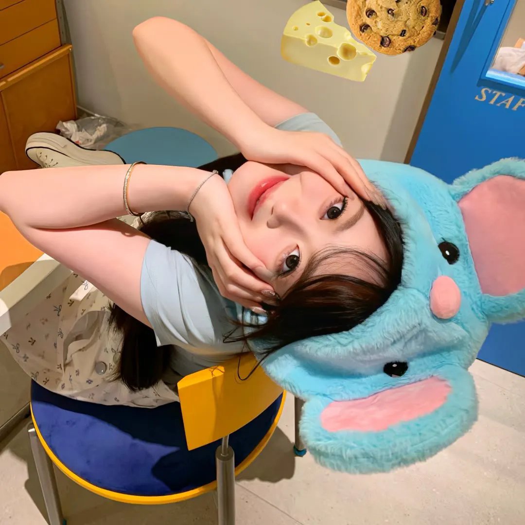 高速公路家族